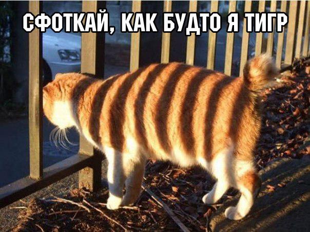 ,   - 13  2015  10:07