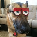 ���� ������, ���������, 68 ��� - ��������� 13 ������ 2015 � ������ ������ ��������