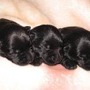 ���� ������, ������, 47 ��� - ��������� 12 ������ 2015 � ������ ������ ��������