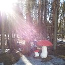 ���� �������, ���������� - ��������� 10 ������ 2015 � ������ ���� ����������