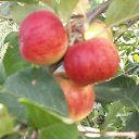 ���� ��������, ������������, 45 ��� - ��������� 16 ������ 2015 � ������ ���� ����������