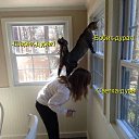 ���� ������, �������� - ��������� 25 ������� 2015 � ������ ������ ��������