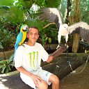 ���� ������, �����������, 49 ��� - ��������� 15 ������ 2015 � ������ ���� ����������