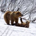 ���� ��������, ������ ���, 70 ��� - ��������� 14 ������� 2014 � ������ ���� ����������