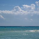  .,  , 61  -  23  2014   