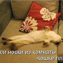 ���� ����������, ��������, 72 ���� - ��������� 19 ������� 2015 � ������ ���� ����������