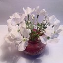 ���� ���, �����������, 72 ���� - ��������� 18 ����� 2015 � ������ ���� ����������