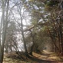 ��������. ���� 2015.