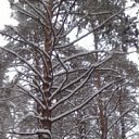 ���� ������� �, ��������, 59 ��� - ��������� 21 ����� 2015 � ������ ��������