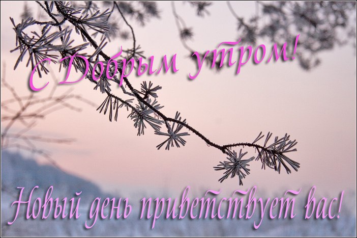  - 25  2014  03:54