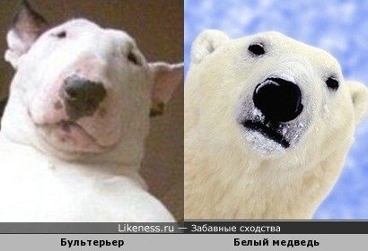  . - 31  2015  02:22 - 3