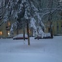 ����� ���� �� ���� 19.12.2014 �� ������� ���� ����������