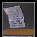 ���� �����, ���� - ��������� 31 ������� 2014 � ������ �� ������ ����