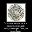 ���� ��������, ������, 33 ���� - ��������� 7 ������� 2015 � ������ ���������