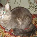 ���� ���������, ���� - ��������� 25 ������ 2015 � ������ ������� ���