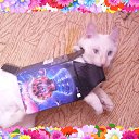  , , 51  -  14  2014    .