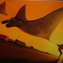 �����! ���� ��� ����!! �� ������� �����-������ ��������, 13 ����� �.�., 70�