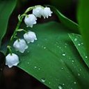 ���� ��, ���������, 59 ��� - ��������� 20 ������� 2014 � ������ ���� ����������