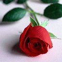 ���� Zoirxon, ����, 40 ��� - ��������� 28 ����� 2015 � ������ ���� ���߻