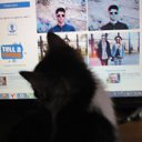  , , 51  -  14  2014    .