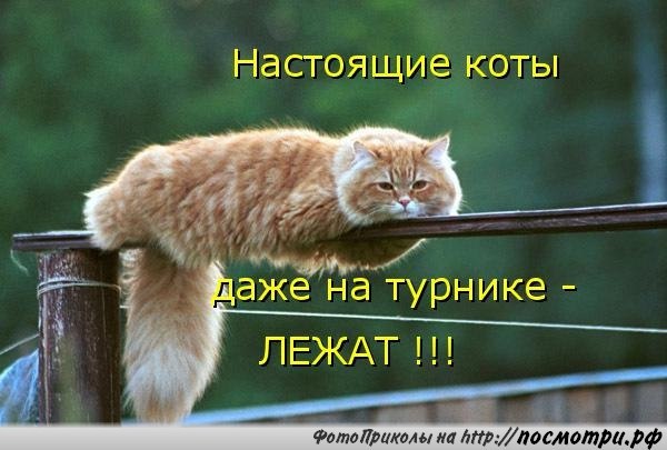 ��� ���� � ����� �� �� - 19 ������ 2015 � 05:04