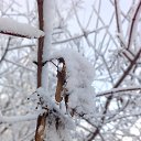 ���� Valka, ������, 63 ���� - ��������� 30 ������ 2015 � ������ ���� ����������