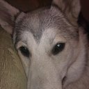 ���� �����, ������, 52 ���� - ��������� 7 ������� 2015 � ������ ���� ,,�����,,�