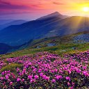 ���� ������., �������� - ��������� 28 ������� 2014 � ������ �����������.....!�