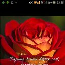 ���� �������, ��������� - ��������� 6 ����� 2015 � ������ ������ ��������
