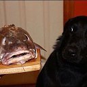  -, -, 54  -  20  2014