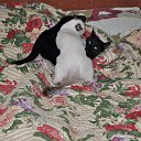 ���� ����, �����-���������, 48 ��� - ��������� 28 ������ 2015