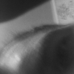 Aleks, �����-���������, 31 ���