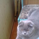 ���� ������, ���������, 57 ��� - ��������� 6 ����� 2015