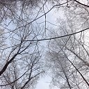 ���� Valka, ������, 63 ���� - ��������� 30 ������ 2015 � ������ ���� ����������