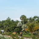 ���� ��������, ������, 59 ��� - ��������� 31 ������ 2015 � ������ ��������