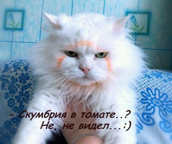 ����� - 16 ������� 2014 � 19:45