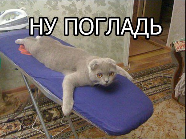       - 13  2015  19:03