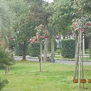 BATUMI �� ������� ���� ����������