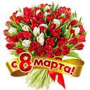 ���� Vera, ������������ - ��������� 7 ����� 2015 � ������ �������� ��������