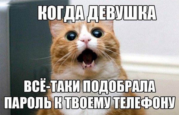 ���� ������� :3 - 7 ����� 2015 � 21:48