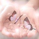 ���� ����, ���� - ��������� 15 ������ 2015 � ������ ������ ��������