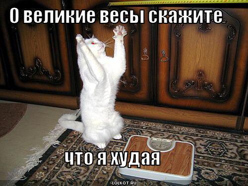 K K - 17  2015  13:30