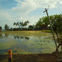  ,  -  24  2015   14-15