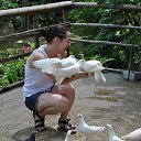 ���� ����, �����������, 44 ���� - ��������� 12 ������ 2015 � ������ ���� ����������