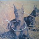 ���� ������, ������, 72 ���� - ��������� 21 ������ 2015 � ������ ������ ��������