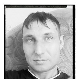 ���� �����, ������, 44 ���� - ��������� 26 ������� 2015