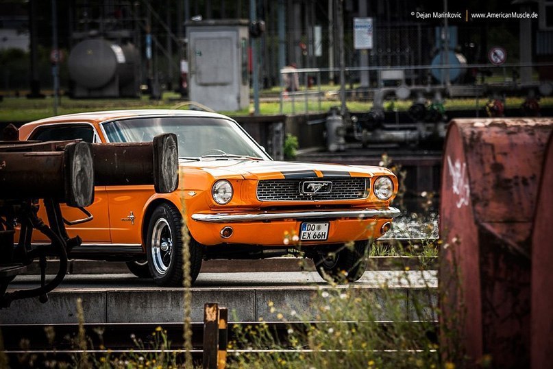 Ford Mustang Coupe, 1966 - 7