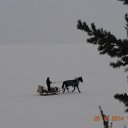 ���� �������, ����� - ��������� 27 ������� 2014 � ������ ������ ��������