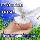 ���� �������, ������� - ��������� 22 ����� 2015 � ������ ������ ��������