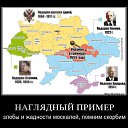 ���� ��, ������������, 50 ��� - ��������� 29 ������� 2014 � ������ ������ ��������